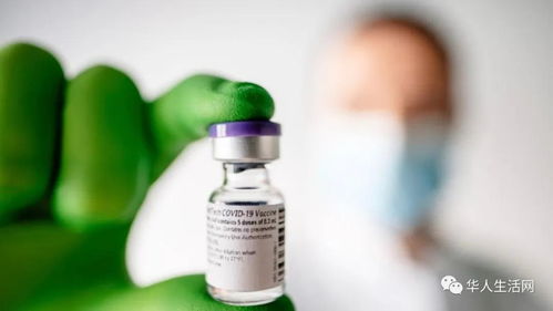 新冠疫苗对比,莫德纳对亚裔效果好 疫苗注射副作用详解