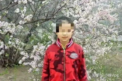 便宜50万 大连13岁杀人少年家房屋仍无人竞拍,担心的是这个 