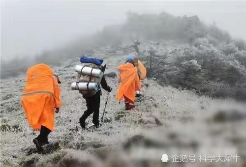 驴友失温丧命,秦岭到底有多危险 穿越 鳌太线 为何屡禁不绝