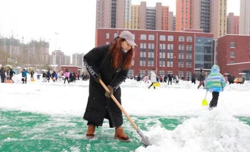 小学除雪请家长帮忙, 硬核 父母开铲车入场,不想反引质疑不断