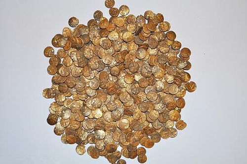男子在田里发现一枚金币后越挖越多,共有1300枚价值750万