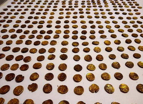 男子在田里发现一枚金币后越挖越多,共有1300枚价值750万