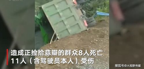 信阳 村民捡蒜瓣致8死 事故报告 4人被追刑责 13名公职人员受处分
