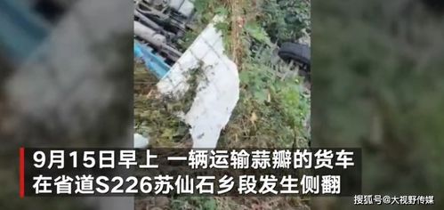 信阳 村民捡蒜瓣致8死 事故报告 4人被追刑责 13名公职人员受处分