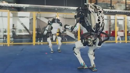 真 机械舞 波士顿动力机器人组团跳舞,battle画面令网友自愧不如 