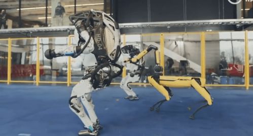 真 机械舞 波士顿动力机器人组团跳舞,battle画面令网友自愧不如