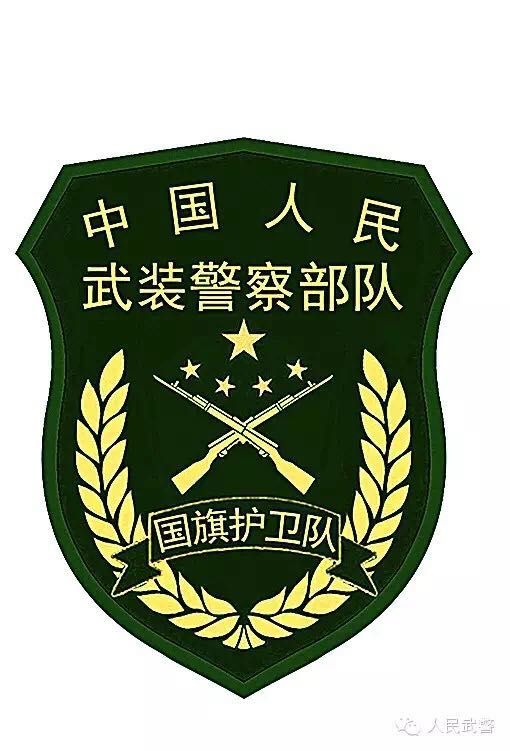 武警部队更换新式标志服饰 新式臂章有五点不同