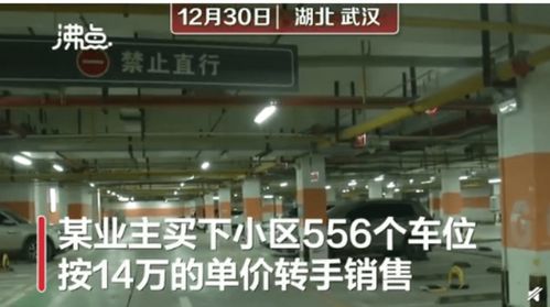 买556个车位14万单价转卖 业主回应 正规手续购入,网友吵翻天