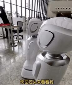 图书馆两个机器人 吵架 网友 成精了