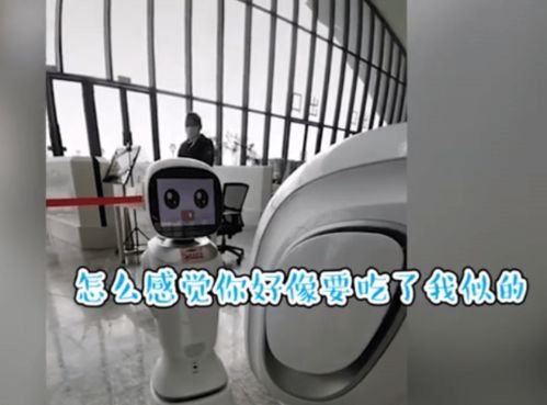 搞笑 江西省图书馆两名机器人吵架走红网络,网友 像极了情侣