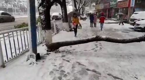 寒潮来袭大雪纷飞,湖南多地发布停课紧急通知