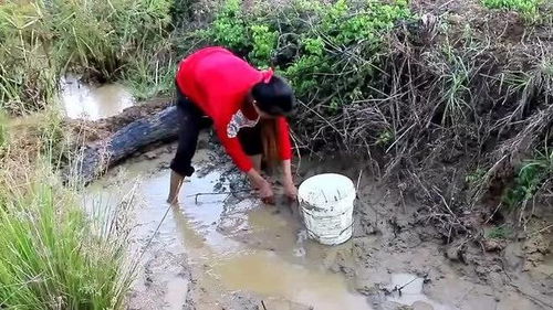 农村小伙为了拍视频,买了几斤鱼放进水沟里,让两个女孩捉鱼