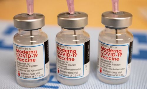 疫苗篡改人类DNA 美药剂师称存在 疫苗阴谋论 ,拒打新冠疫苗