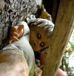 惊悚 树上挂满了各种娃娃,墨西哥这个小岛很诡异 