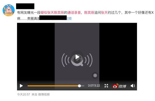 疑似张天陈奕辰通话录音 曝光 恋爱中,遇到这种男人,请拉黑