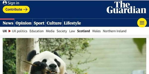 养不起了 英国考虑将大熊猫送回中国