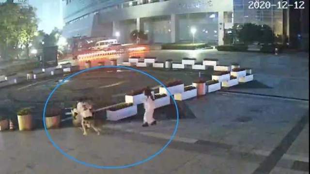 凌晨,男子街头半夜 扮鬼 吓跑2名美女,警方 拘留12日