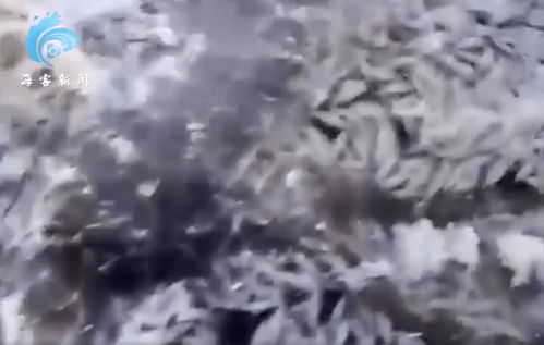 没能给出事故具体原因 俄罗斯数千条鱼冻在冰层中死亡 