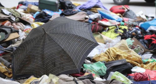 回收旧衣服也能致富 被随手扔掉的衣服,有人靠此年赚百万