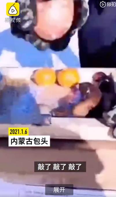 南方网友看呆 内蒙古零下30度西红柿能砸铁钉,户外泡面能站立