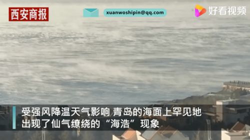 专家解读青岛海浩奇观 上一次出现是5年前,极寒天气才可能出现