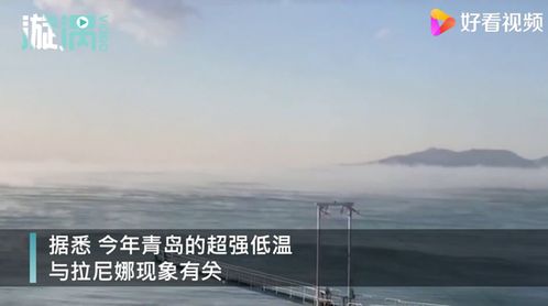 专家解读青岛海浩奇观 只有在极寒天气中才会出现