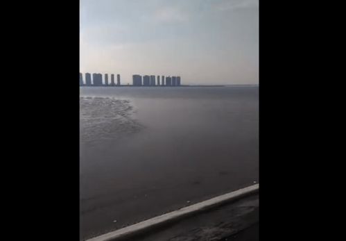 钱塘江都结冰了,青岛海边浪花也直接被冻住,市民拍下罕见一幕