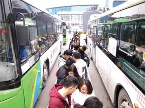 注意 贵阳这些公交线路有调整,千万别坐错喽