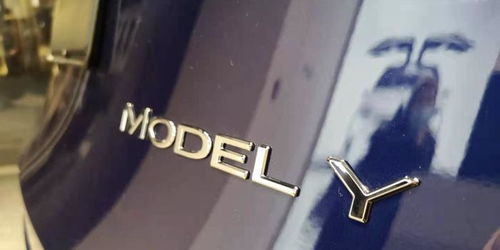 美版Model Y降至4万美元 特斯拉中国否认推16万元新车