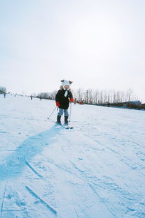 在松花江上起舞,在冰天雪地里斑斓