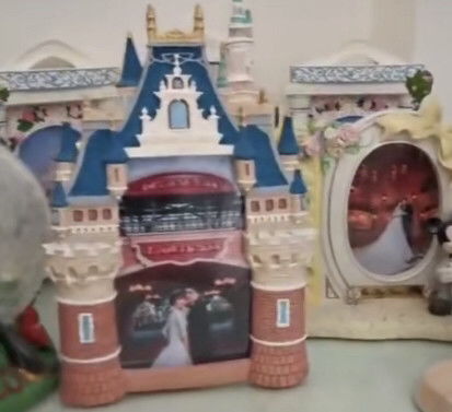 女孩将婚房打造成迪士尼博物馆,被爱滋养的女孩子都很幸福