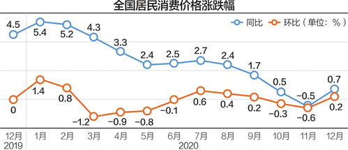 2020年CPI同比涨2.5 实现全年物价调控目标 