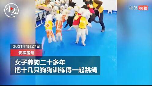 女子把十几只狗狗训练得一起跳绳 不要太可爱哦
