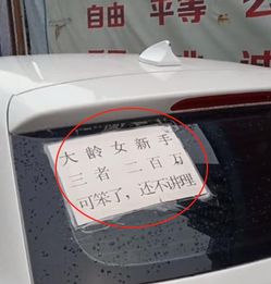 江苏 最牛 女司机,开大众霸气上路,车尾字条令人闻风丧胆 