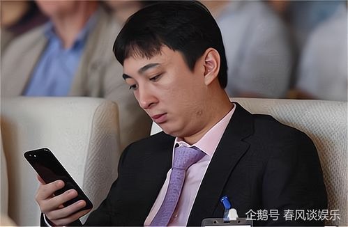 曾让老妈林宁心疼儿子,拿钱替王思聪解围,熊猫互娱破产拍卖3100万