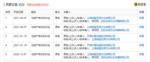 王思聪旗下熊猫互娱破产拍卖,3100万元成交