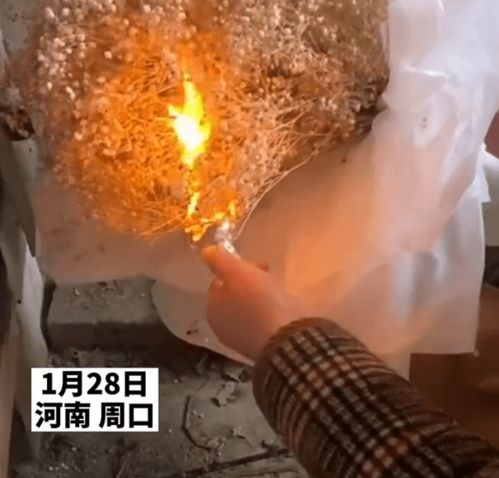河南老妈拿满天星花束烧锅 网友 世间浪漫终究敌不过柴米油盐