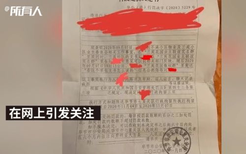 骂 草包支书 被拘女子拟提国家赔偿,拒绝涉事民警登门道歉