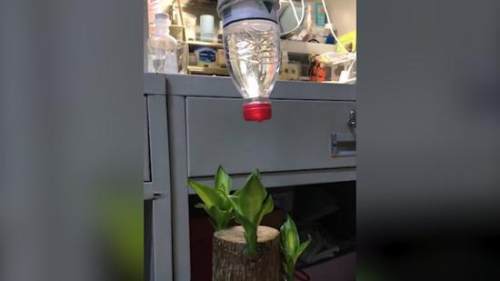 大学生放假前自制装备给盆栽浇水 网友 可以申请专利了