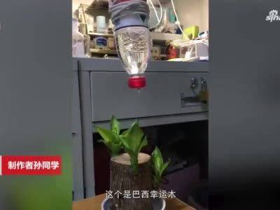 大学生放假前自制装备给盆栽浇水 网友 可以申请专利了