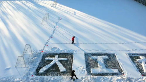 震撼 雪中绘制1250㎡巨幅画作,大工学子有大爱