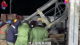 整座城市只剩下你和一只狗,你会做些什么
