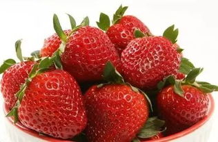健康饮食 草莓不洗就吃 小心感染 偌如病毒