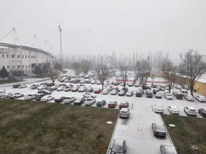 北京下雪了 延庆 房山开始飘雪,地面见白 现场图