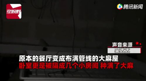 美国一家5口租650万豪宅,8个月后突然消失,房东上门一看欲哭无泪