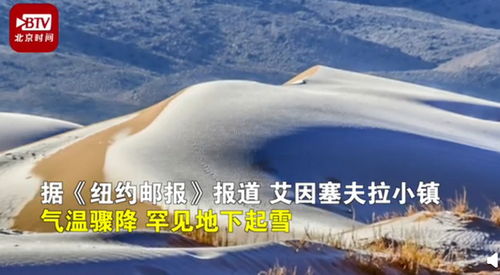 骆驼在撒哈拉沙漠雪中漫步 罕见景象吸引网友围观 