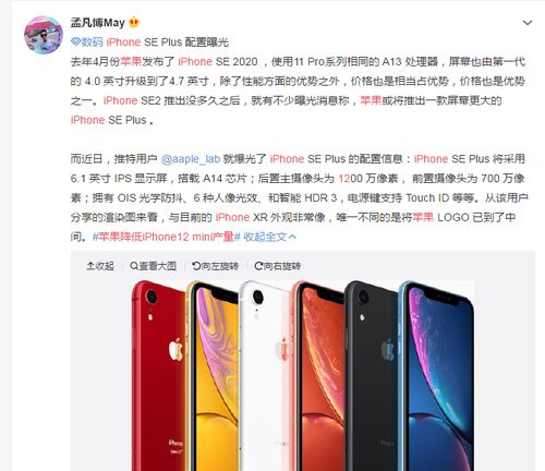 苹果降低iPhone12 mini产量 给Pro系列让路