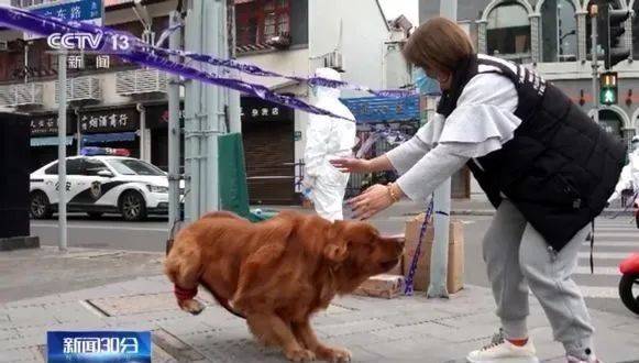 超暖 上海居民带宠物一起隔离