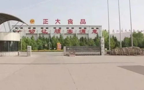哈尔滨处置涉疫企业今年出厂产品,市民如已购买可申报回收