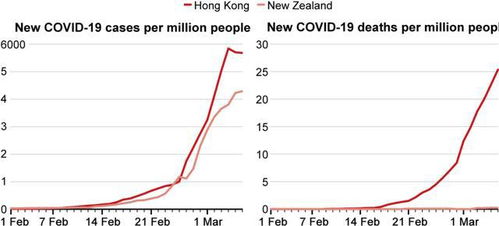 香港新冠死亡率全球最高,究竟为何